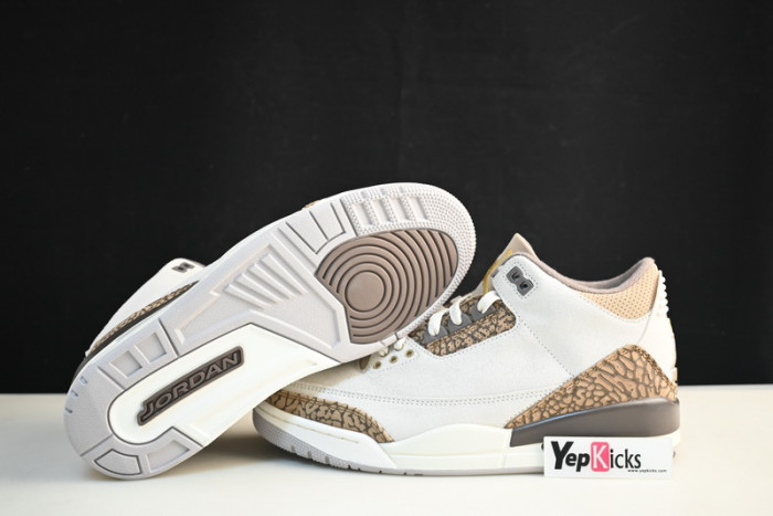 air jordan 3 “palomino” ct8532-102