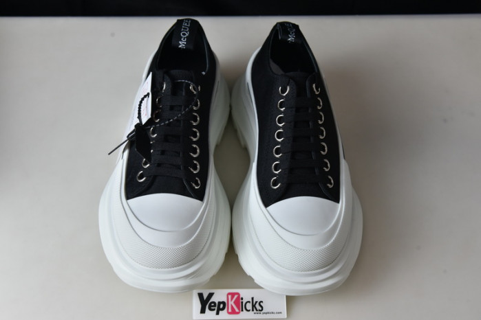 alexander mcqueen e2543