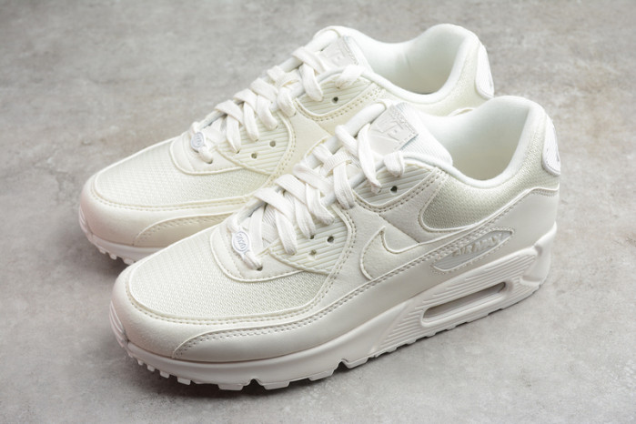 air max 90 sail 30th anniversary beige ct2007-100