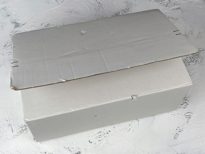 g*u*i ace embroidered low-top sneaker e2273