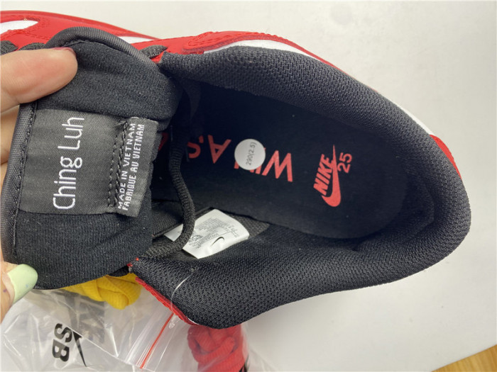 nike sb dunk low 309242-307